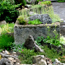 Trough Garden Collection medium Trough Garden Collection medium